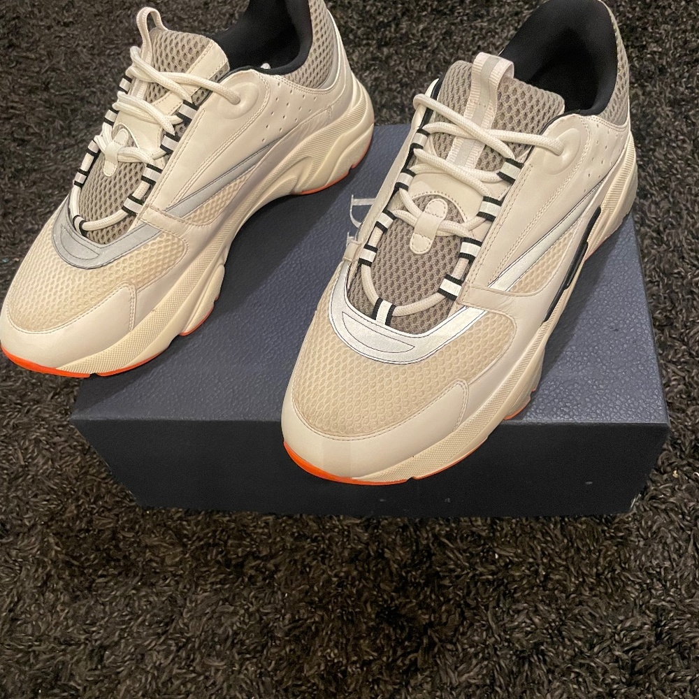 Mens Dior Sneakers B22